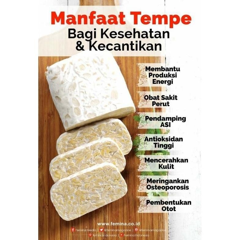 

Terbaru Tempe Kedelai Ukuran Sekitar 2 Ons / 200Gr