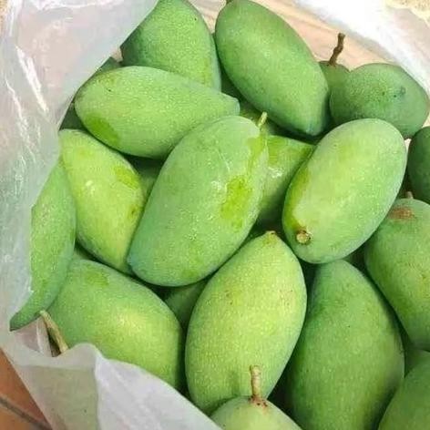 

Garansi Mangga Muda 1 Kg