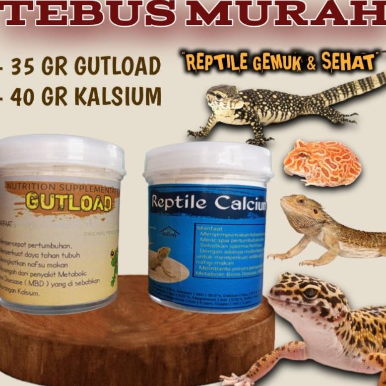 Terlaris [TEBUS MURAH] paket 35gr gutload dan 40gr kalsium vitamin gecko suplemen penggemuk tokek ba