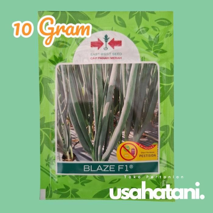 Benih Daun Bawang Blaze 10gr Promo