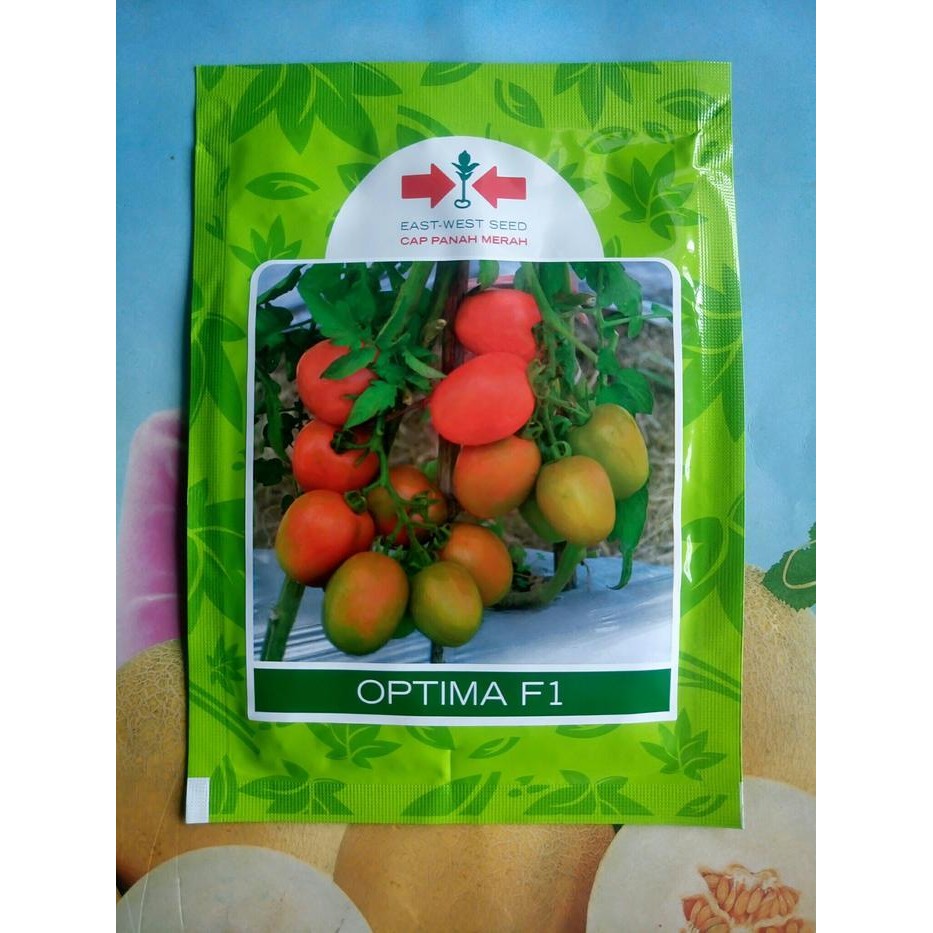 Benih Bibit Tomat Hibrida OPTIMA F1 1750 Biji Promo