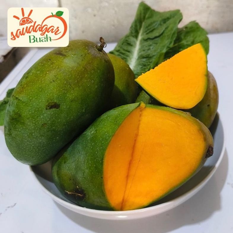 

Terbaru Buah Mangga Harum Manis Tua Pohon 1Kg Jamin Manis