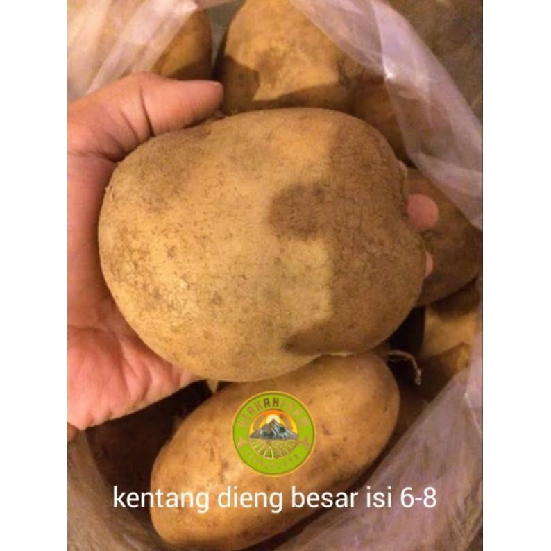 

Buktikan Kentang 1 Kg Ukuran Besar Ready