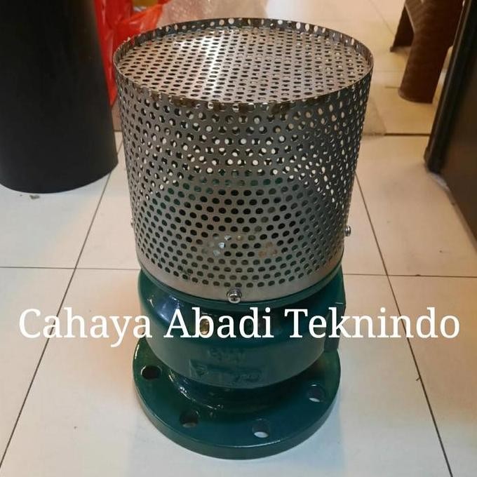 Gala Foot Valve Flange 4"Inch / Foot Valve Cast Iron Flange Dn100 Terbaru