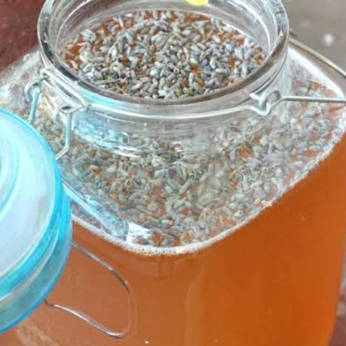 

Promo / Terlaris kombucha lavender with ginger lemongrass 1000ml/raw/probiotic/vegan. Terbaik