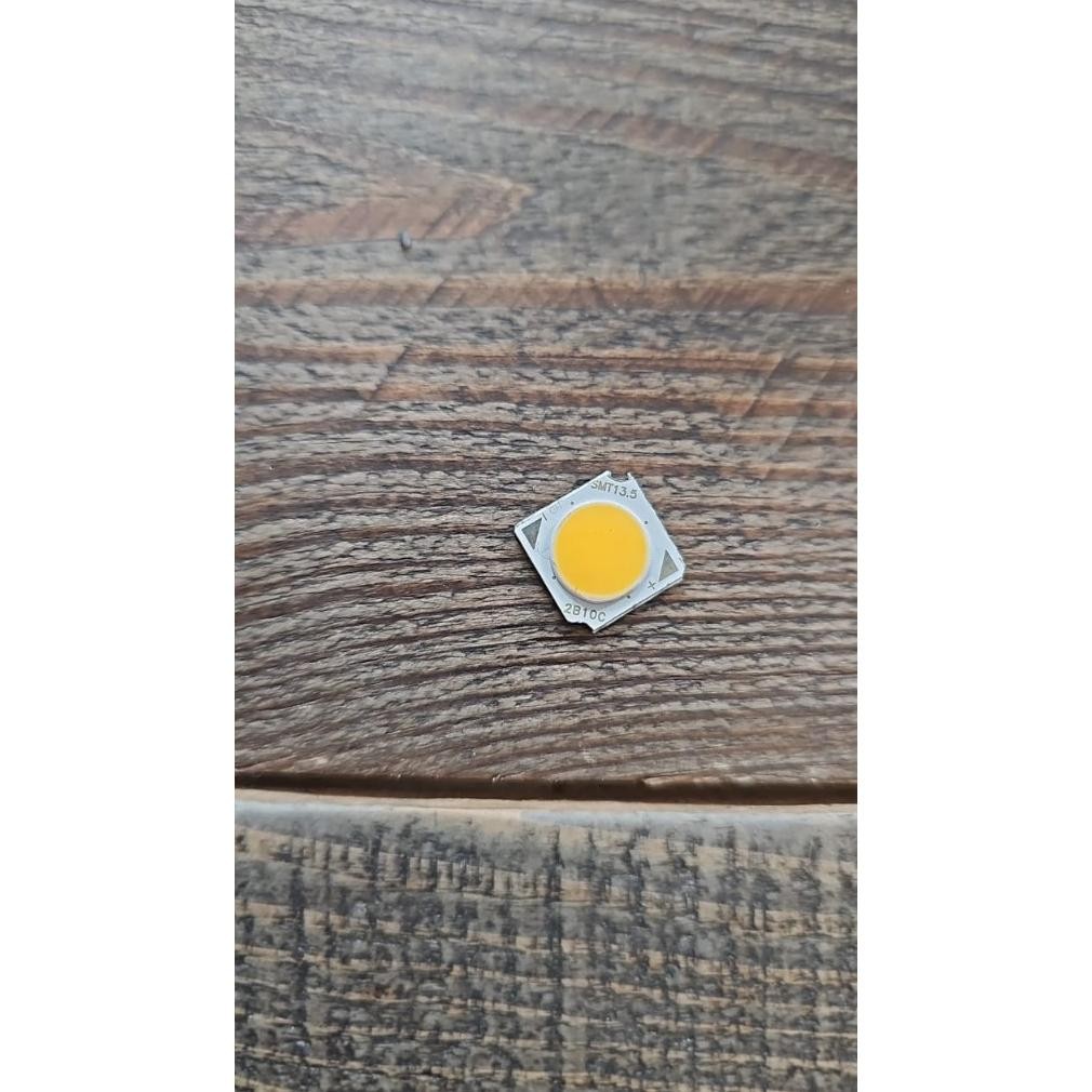 Mata led untuk lampu dinding taman led 10watt H2013