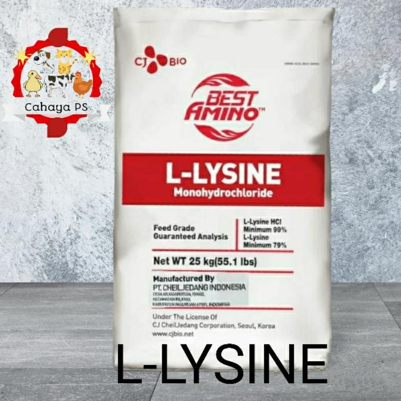NEW Lysine 1kg Lisin Asam Amino Hewan