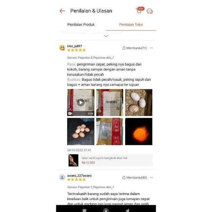 

TELUR VERTIL AYAM BANGKOK F1 ASLI THAILAND ORINAL SUPER