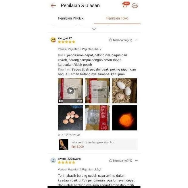 

TELUR VERTIL AYAM BANGKOK F1 ASLI THAILAND ORINAL SUPER