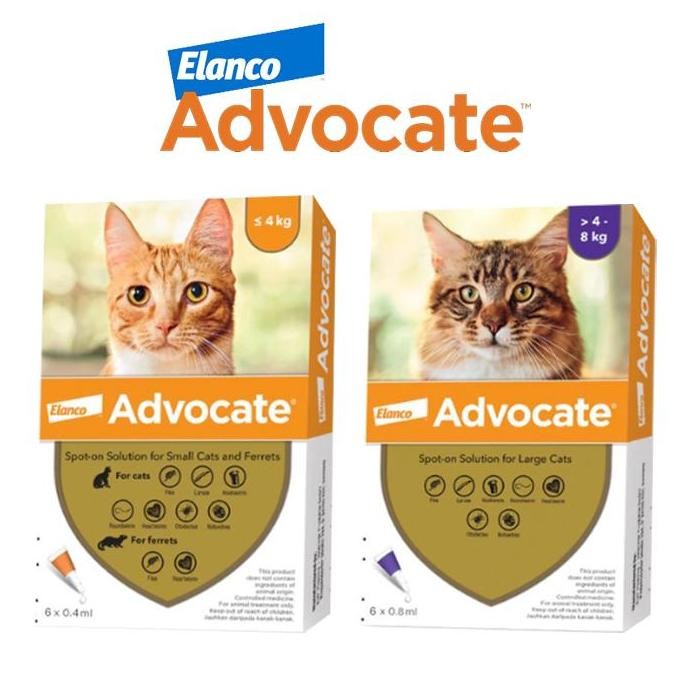 ADVOCATE Cat Elanco Obat Kutu Kucing Advocate