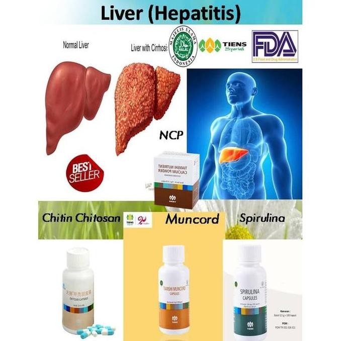 

Promo Chitosan / Chitin Powder Fine / Food Grade