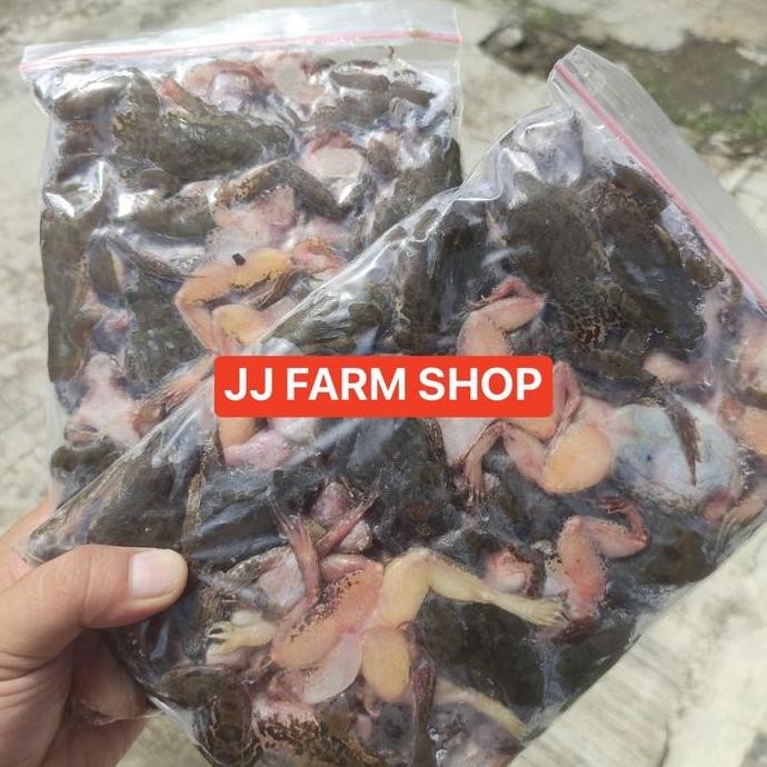 Terlaris Kodok Beku Katak Beku Pakan Makanan Arwana Ikan Predator Fres Segar