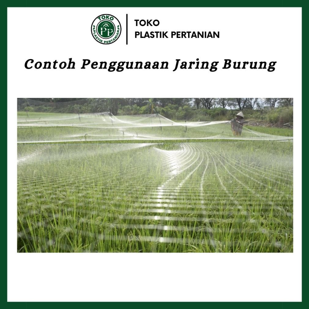 Jaring Burung 0.12 100Md 100 Yard - Jaring Pelindung Padi Spaylater 0%|Terlaris|Trend|Baru|Ready|Rea