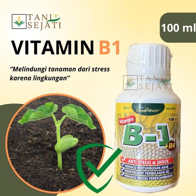 NEW Vitamin B1 plus B6 Anti Stres Tanaman 100 ml