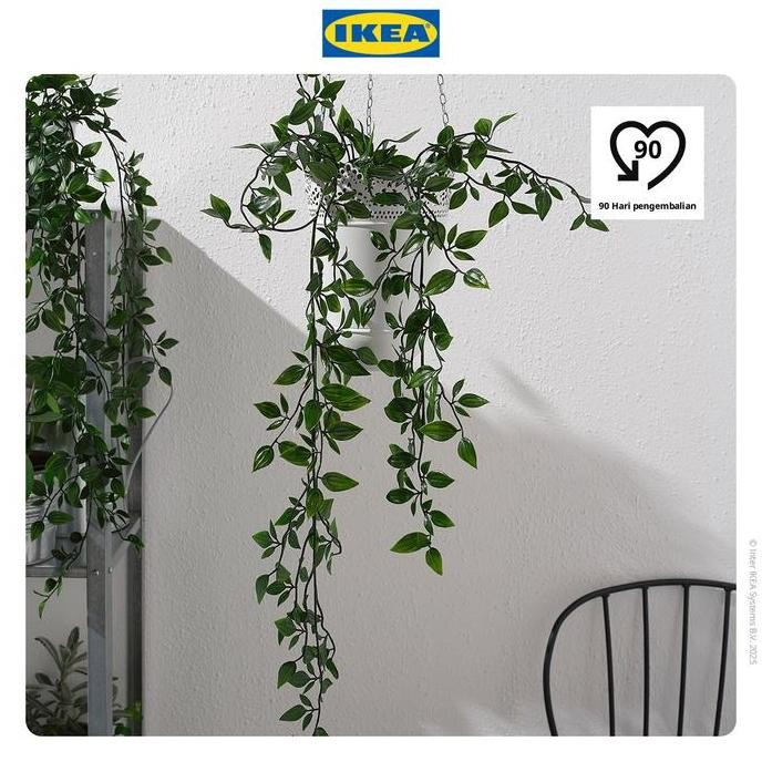 

IKEA FEJKA Tanaman Hias Gantung dengan Pot 9 cm
