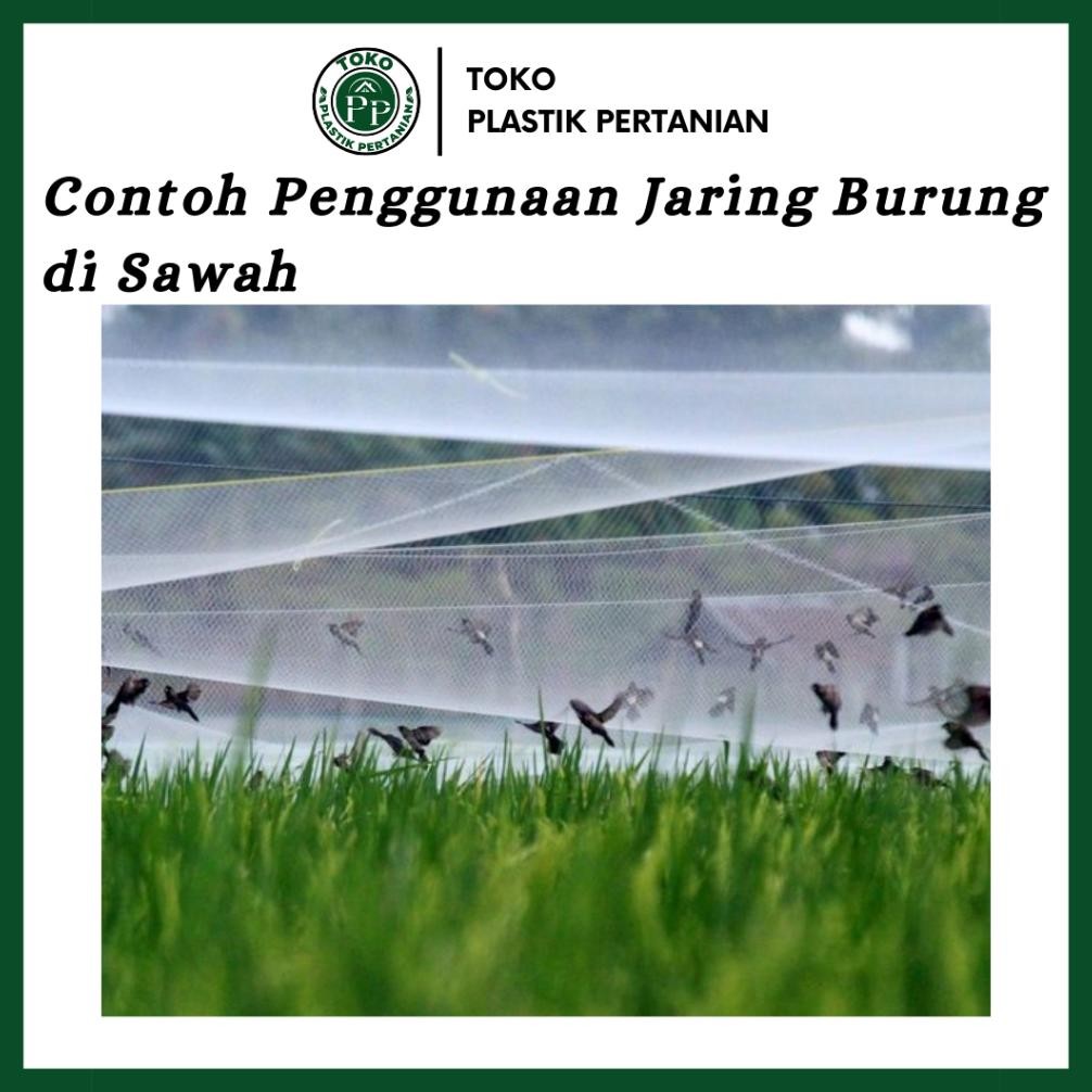 Jaring Burung 0.12 100Md 100 Yard - Jaring Pelindung Padi Spaylater 0%|Terlaris|Trend|Baru|Ready|Rea