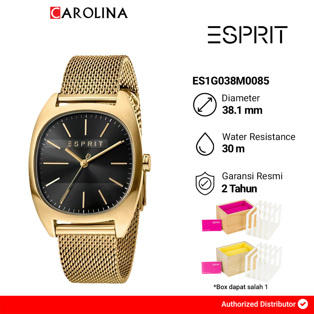 Jam Tangan Pria ESPRIT ES1G038M0085