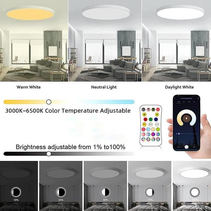 Murah Lampu Plafon Bulat Kamar Rumah Rgb Smart Lamp Led Ceiling Light