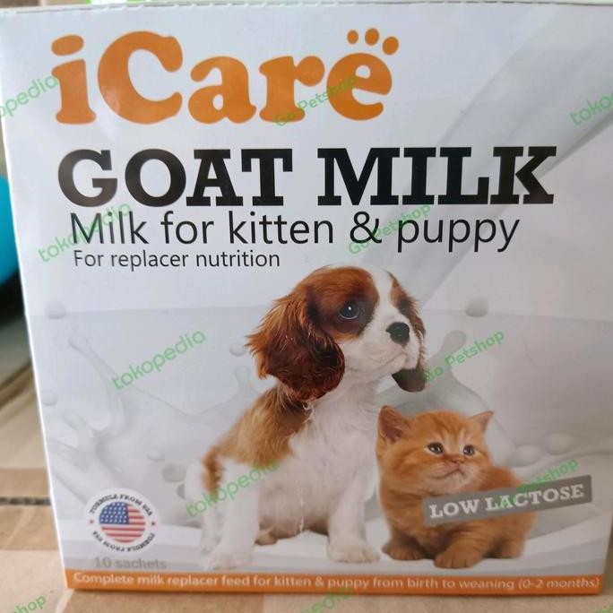 Susu Kucing Kitten Baru Lahir Anti Diare Icare Goat Milk Sachet Co