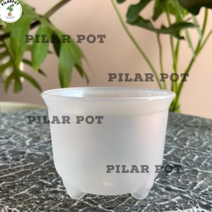 [Expert] pot bunga tanaman mini nkt panda 06 bening transparan 6cm - nkt mini