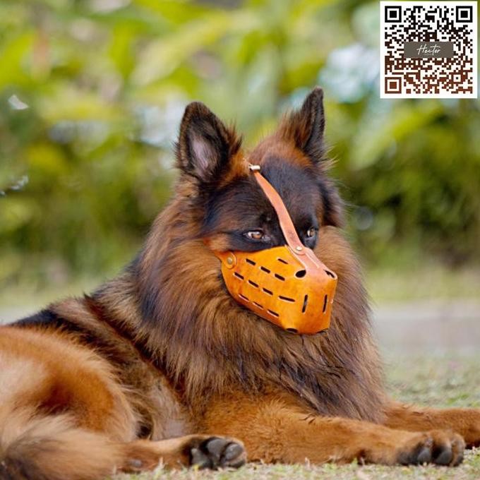 Hector Leather Dog Muzzle Brongsong Brangus Penutup Mulut Anjing K9 Co