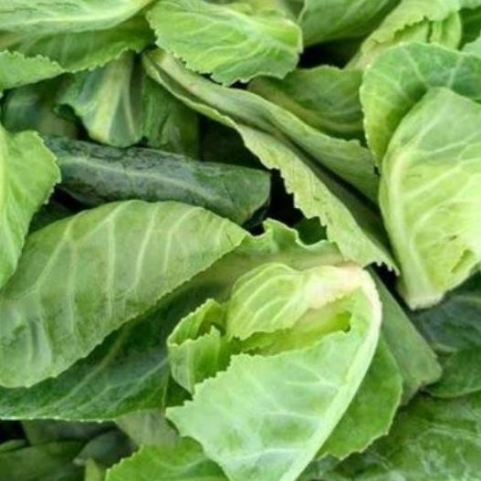 

sayur keciwis segar per 1/4kg