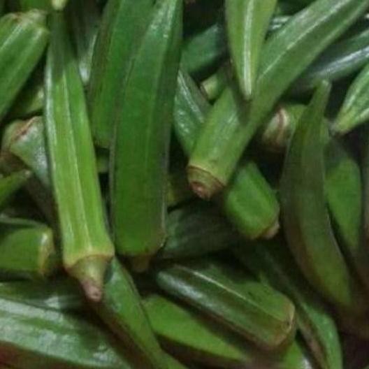 

Sayur Okra Segar 250gr