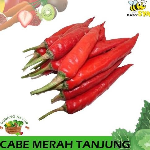 

Cabe Merah Tanjung 250g Sayur Segar Bekasi Jakarta Timur Utara Selatan