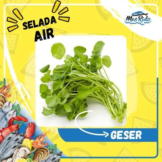 

Selada Air Segar Sayur Fresh 1 Ikat Kwalitas Super Harga Murah