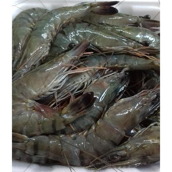 

Udang Segar 500 Gram Pos Sayur Palembang