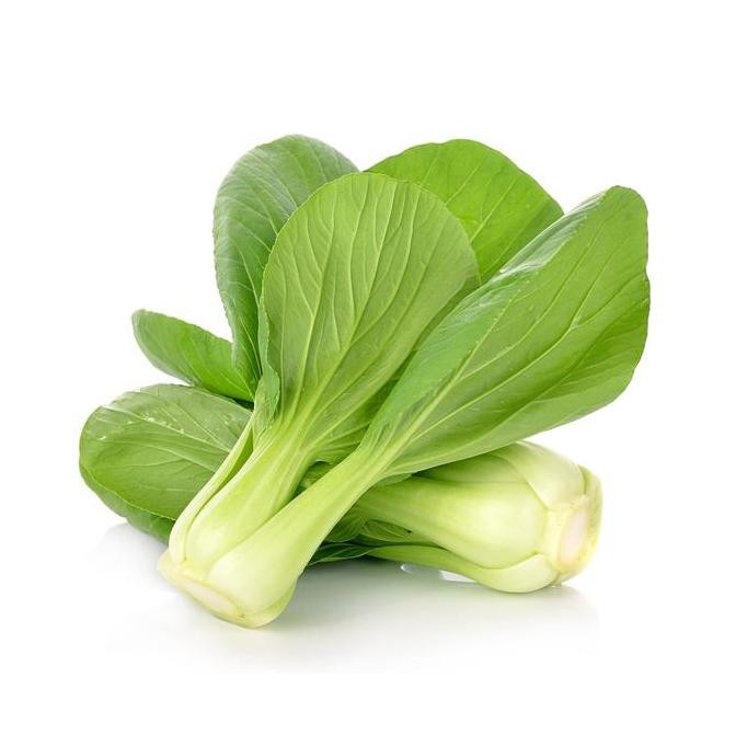 

Pakcoy Segar Sayur Pokcoy