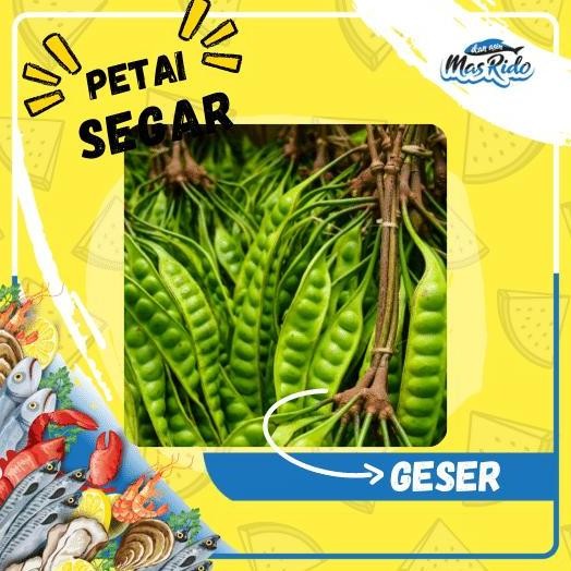 

Pete Muda Petai Segar Sayur Fresh Kwalitas Super Harga Murah per Papan