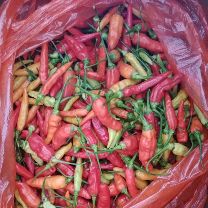 

Cabe Rawit Prentul 1kg