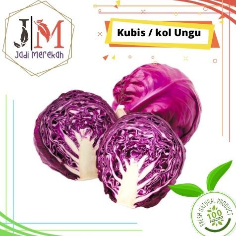 

[JM SoFresh] - Kol (Kubis) Ungu