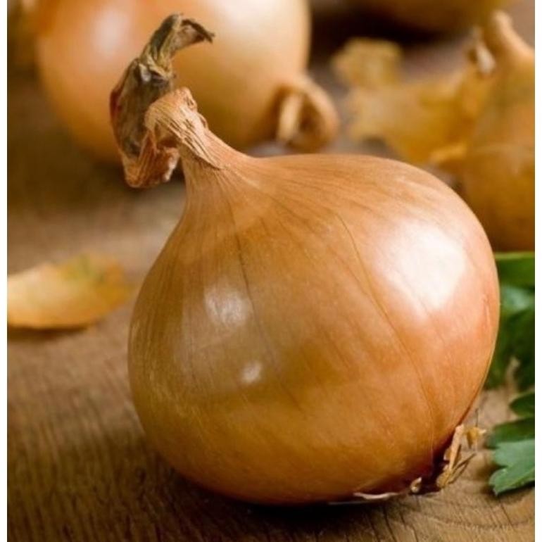 

Bawang Bombay BESAR 6080 Sweet Onion 1 kg