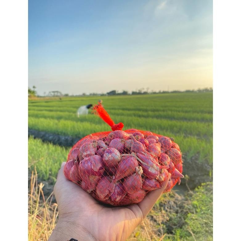 

Bawang merah brebes 1 kg
