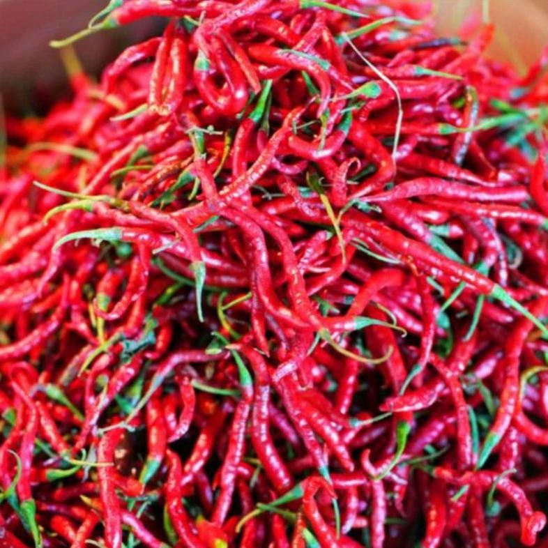 

Cabai Merah Kriting / Cabe Merah Keriting Segar