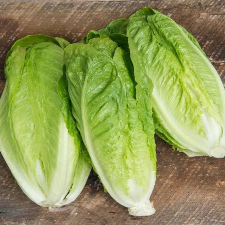 

Romaine Lettuce 1kg