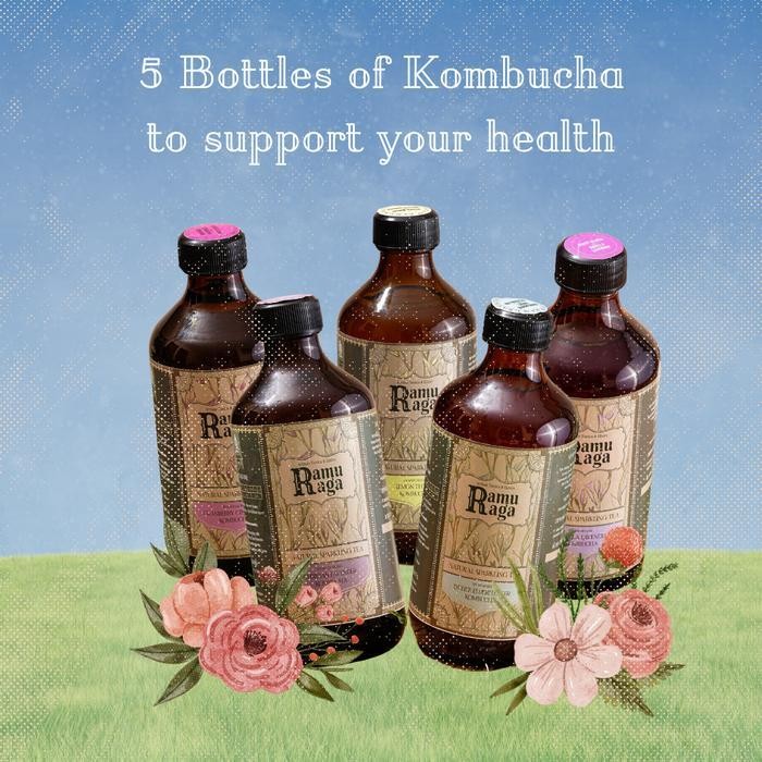 

KOMBUCHA - Paket Rame Rame - Ramuraga - Paket keluarga Ori!!