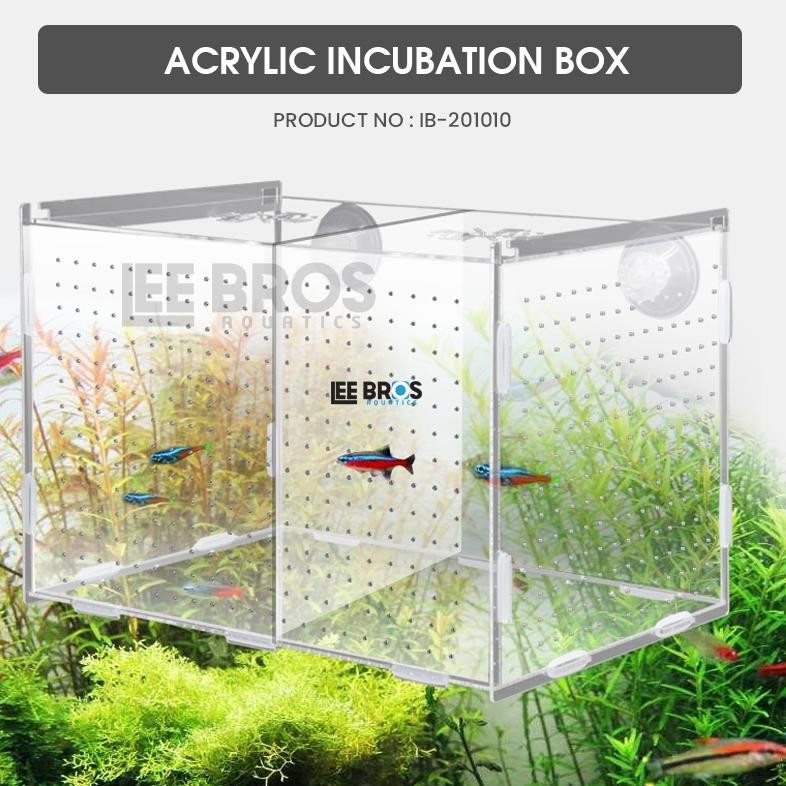 

Acrylic Incubation Box / Isolation Box / Akrilik Karantina ikan AST