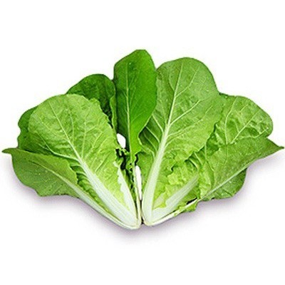 

Samhong Hidroponik Kiosayur