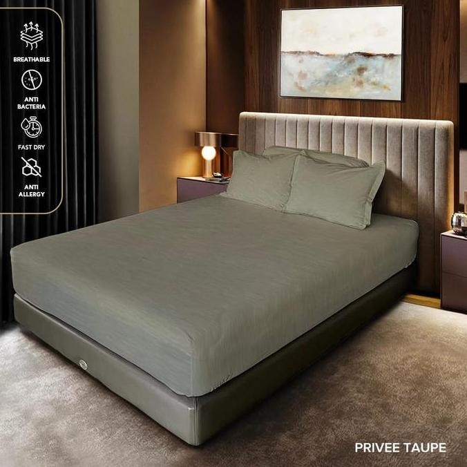 King Rabbit Reserve Sprei SINGLE Uk 100 / 120cm Motif Taupe
