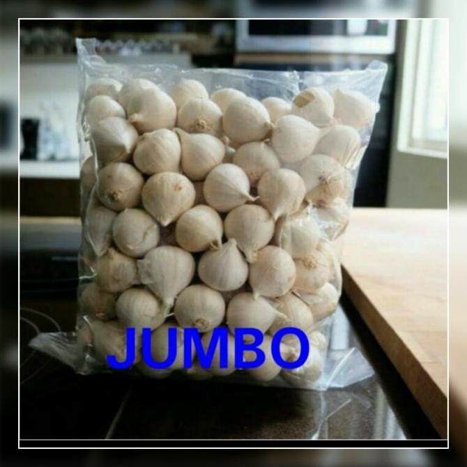 

Bawang Putih Tunggal / Bawang Lanang 1Kg /Bawang Kesehatan Herbal