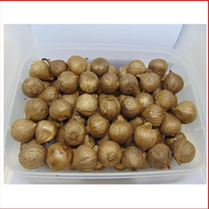 

BAWANG PUTIH HITAM TUNGGAL 1/2 KG -BLACK GARLIC- BAWANG HITAM LANANG