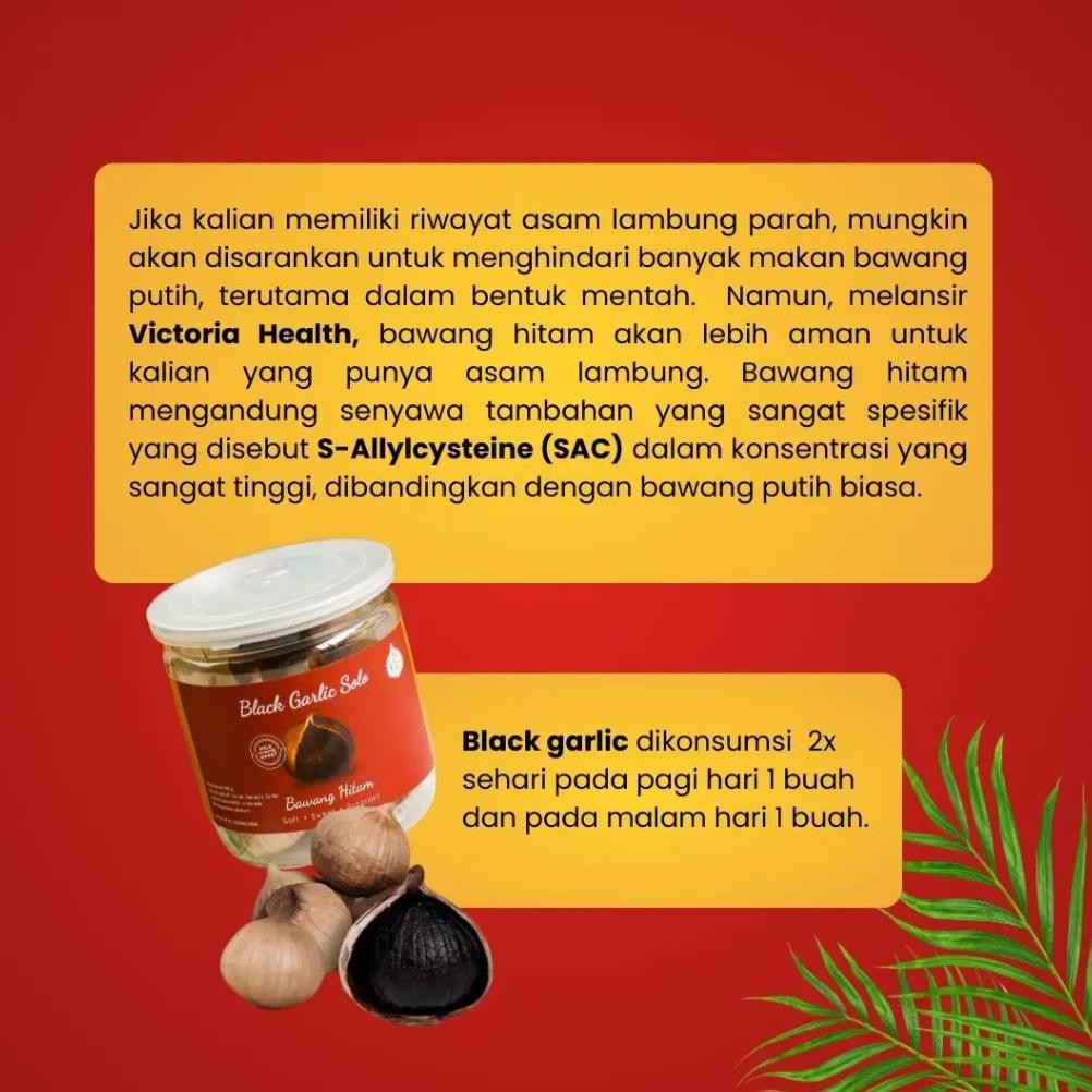 

Black Garlic Solo ( Bawang Hitam Tunggal) 220gr