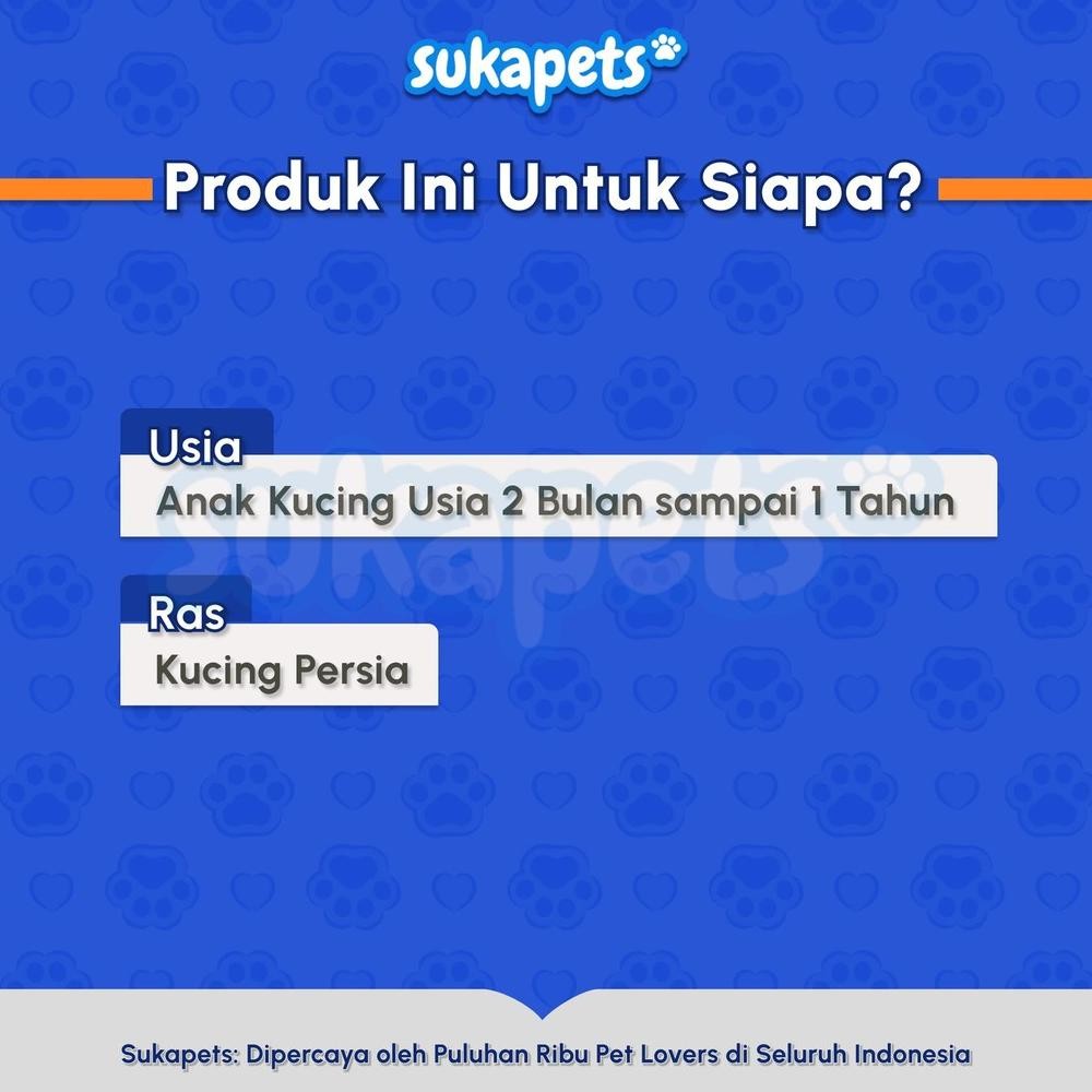 Termurah Royal Canin Kitten Persian Makanan Anak Kucing Persia 400Gr Ia-76