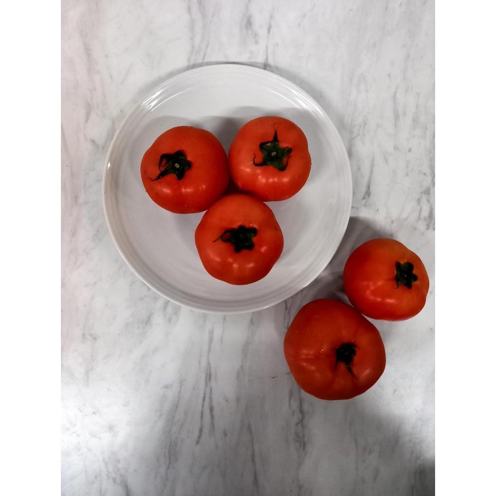 

ready TBS.ID-Tomat buah+-540gr murah