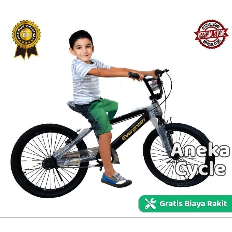 NEW Sepeda Anak BMX Evergreen B2 20 Inch sepeda bmx cowok sepeda bmx dewasa sepeda bmx anak cowok