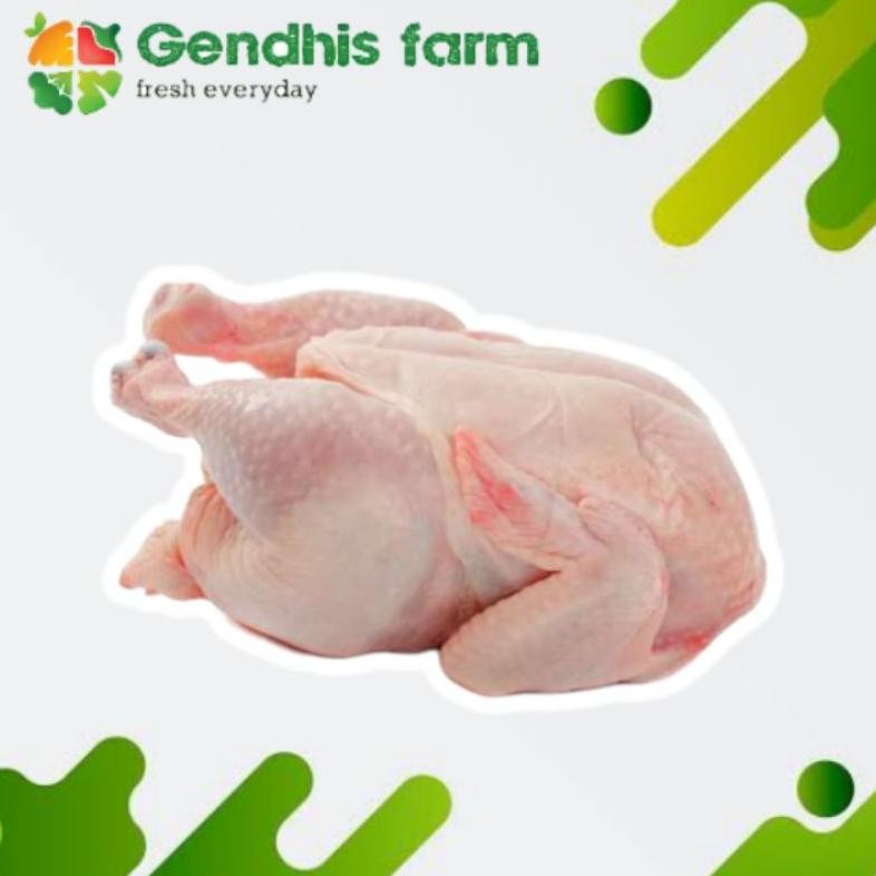 

Ayam Potong Segar Negeri 1 Ekor 1.1Kg - 1.2Kg - Fresh & Halal Original