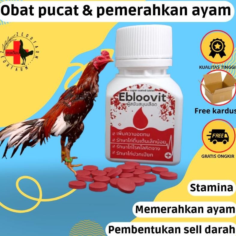ebloovit vitamin untuk ayam pucat anemia penambah darah dan stamina isi 100 tablet zeorfarm